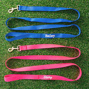 personalized dog leash in blue and hot pink