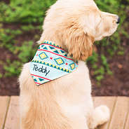 Personalized Teal Tribal Print Dog Bandana