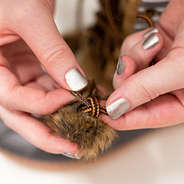 knotting the lace through the pom pom