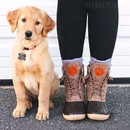 golden retriever puppy with clemson duck boots