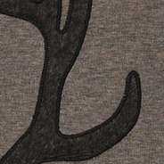up close shot of antler
