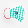 Mint Gingham