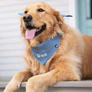 chambray dog bandana on Golden Retriever