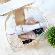 inside gold clear train case bag