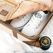 Close up details of Carry On