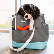dog in pet carrier