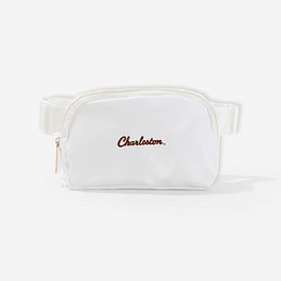 college of charleston cougars belt bag