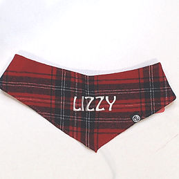 BLOOPER: Personalized Dog Bandana