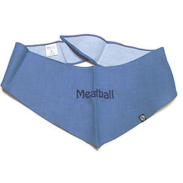 BLOOPER: Personalized Dog Bandana