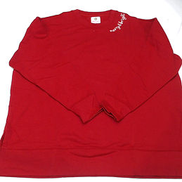 BLOOPER CLOTHING: BLANK Merry and Bright Pullover