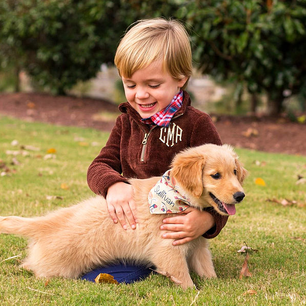 little boy in brown pullover with puppy in grass