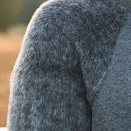 kids raglan sleeve close up