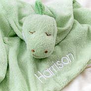 green personalized dino lovie