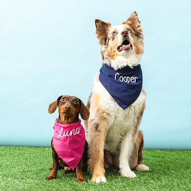 Personalized Dog Bandana